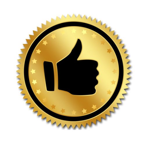 знак качества_2 копия